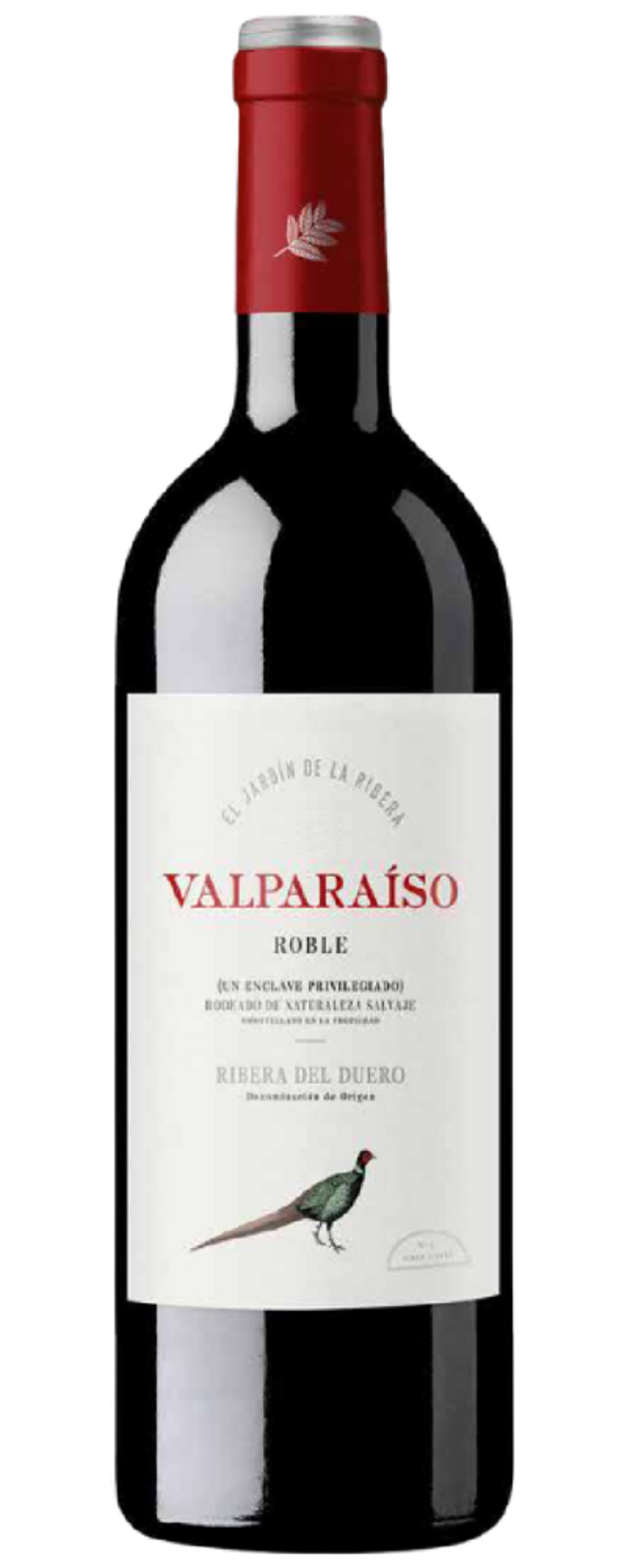 Rotwein-Flasche Valparaíso Roble mit einer Wildvogel-Illustration auf dem Etikett