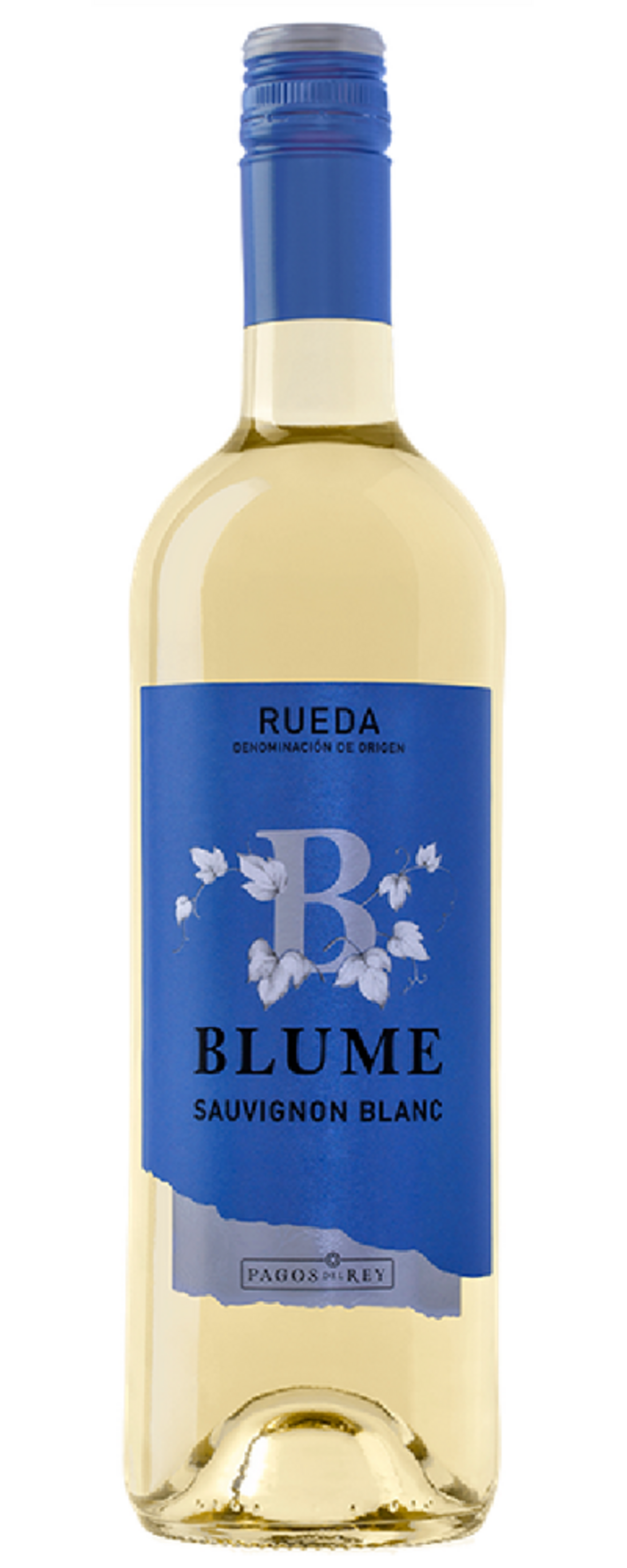Blume Sauvignon Blanc Wein, blaue Flasche, Rueda Denominación de Origen.