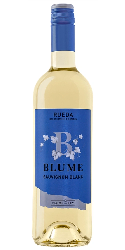 Eine Flasche Weißwein der Sorte Sauvignon Blanc mit blauem Etikett.