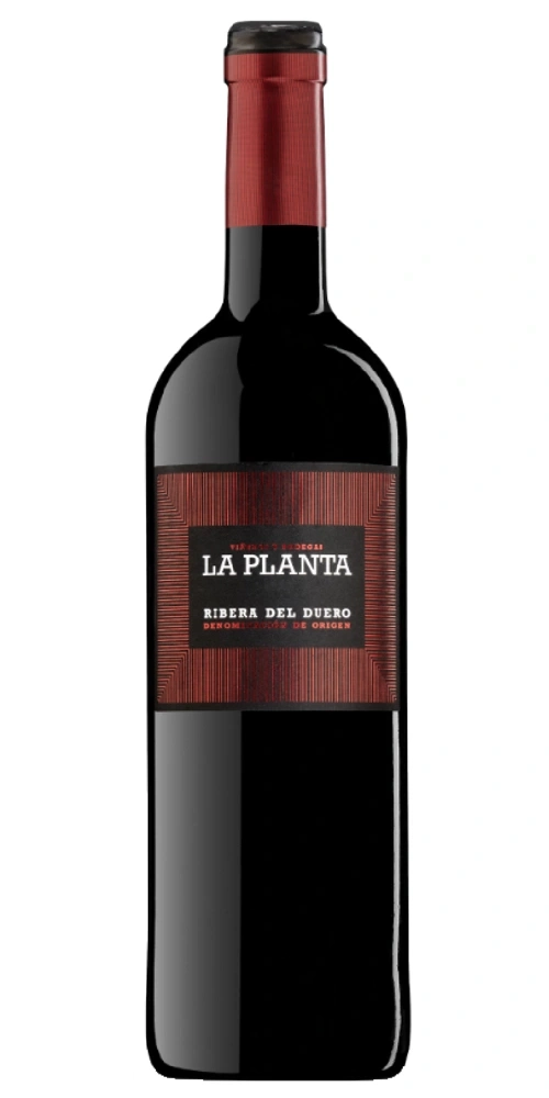 Eine Flasche Rotwein mit dem Etikett "La Planta"