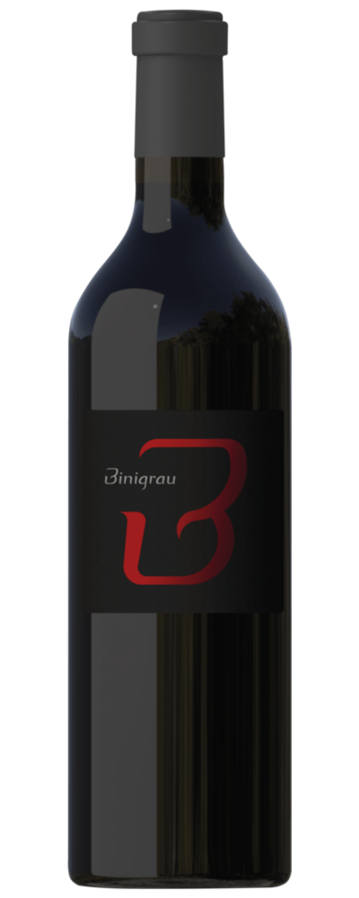 Wein-Flasche mit schwarzem Etikett und rotem Logo, Biniagru