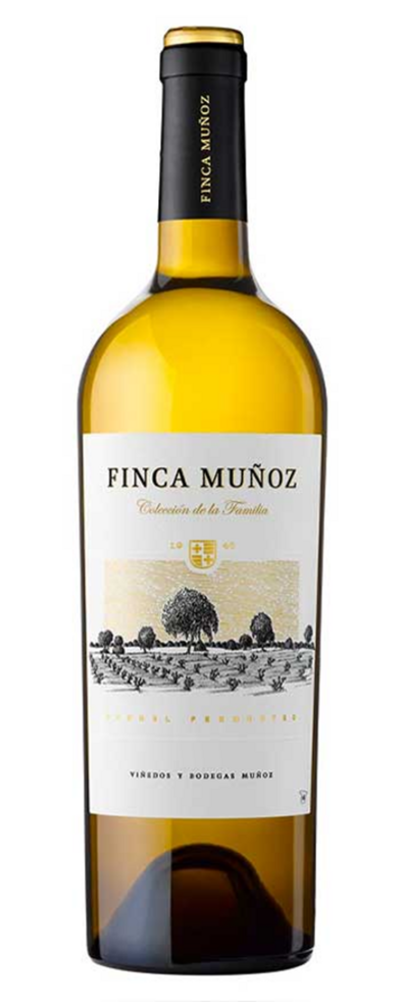 Wein-Flasche mit dem Etikett 'FINCA MUÑOZ' und Landschaftszeichnung.