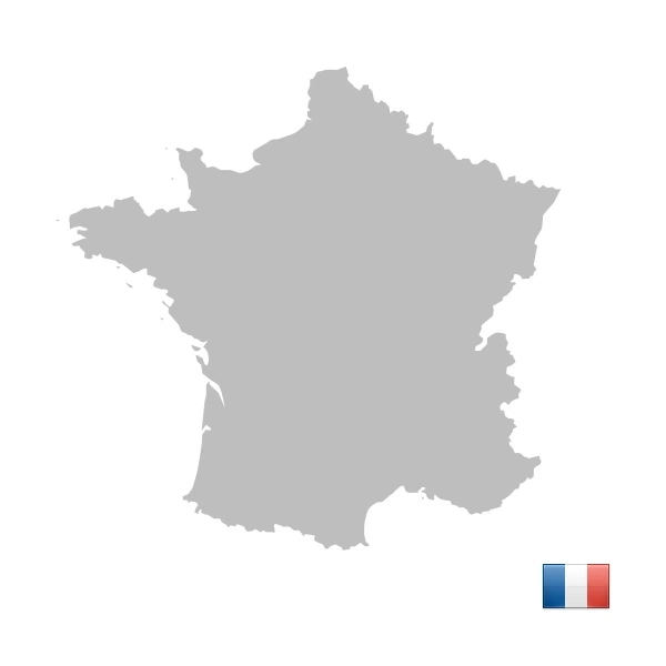 Graue Karte von Frankreich mit der französischen Flagge