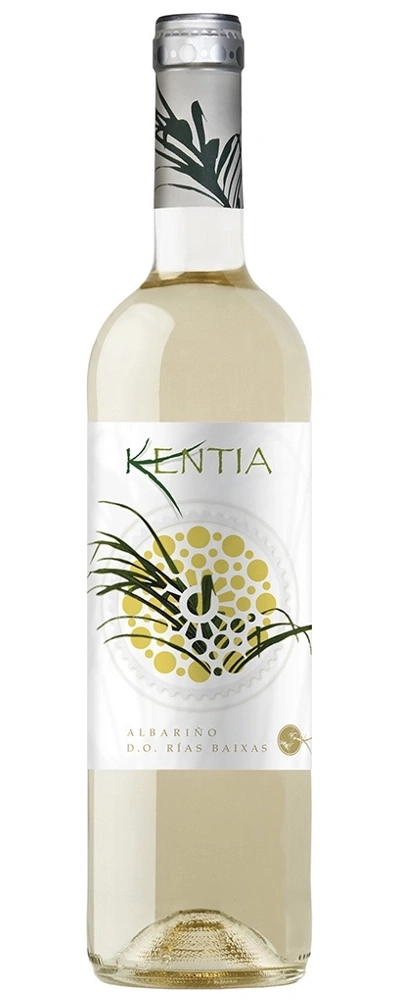Weinflasche Kentia Albariño D.O. Rías Baixas, weißer Hintergrund, Etikett
