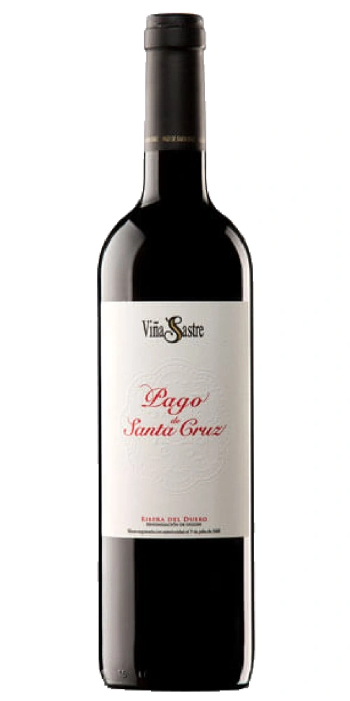 Eine Flasche Rotwein der Marke Viña Sastre Pago de Santa Cruz.