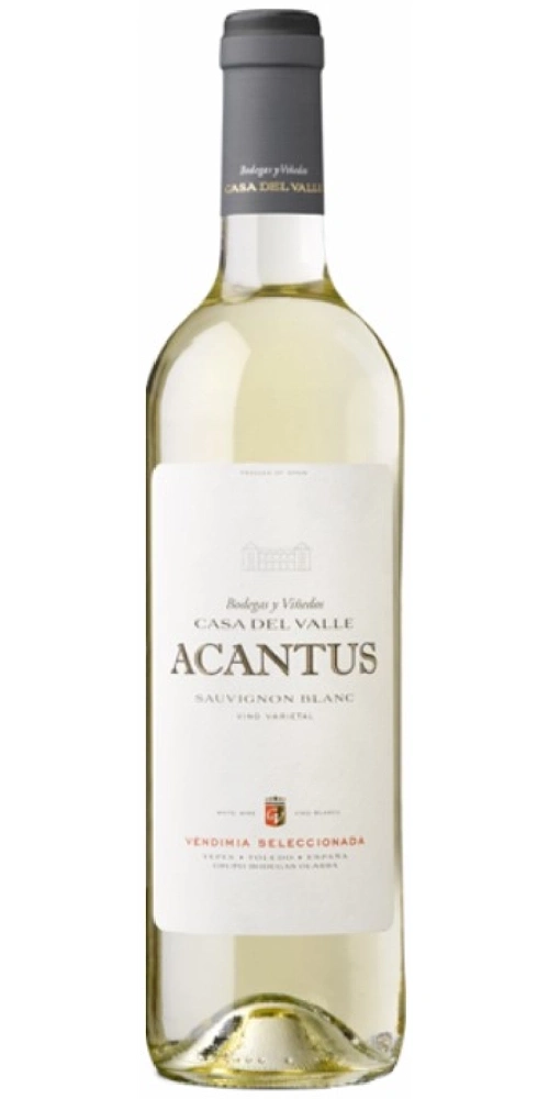 Flasche weißer Wein mit Etikett von Casa Del Valle