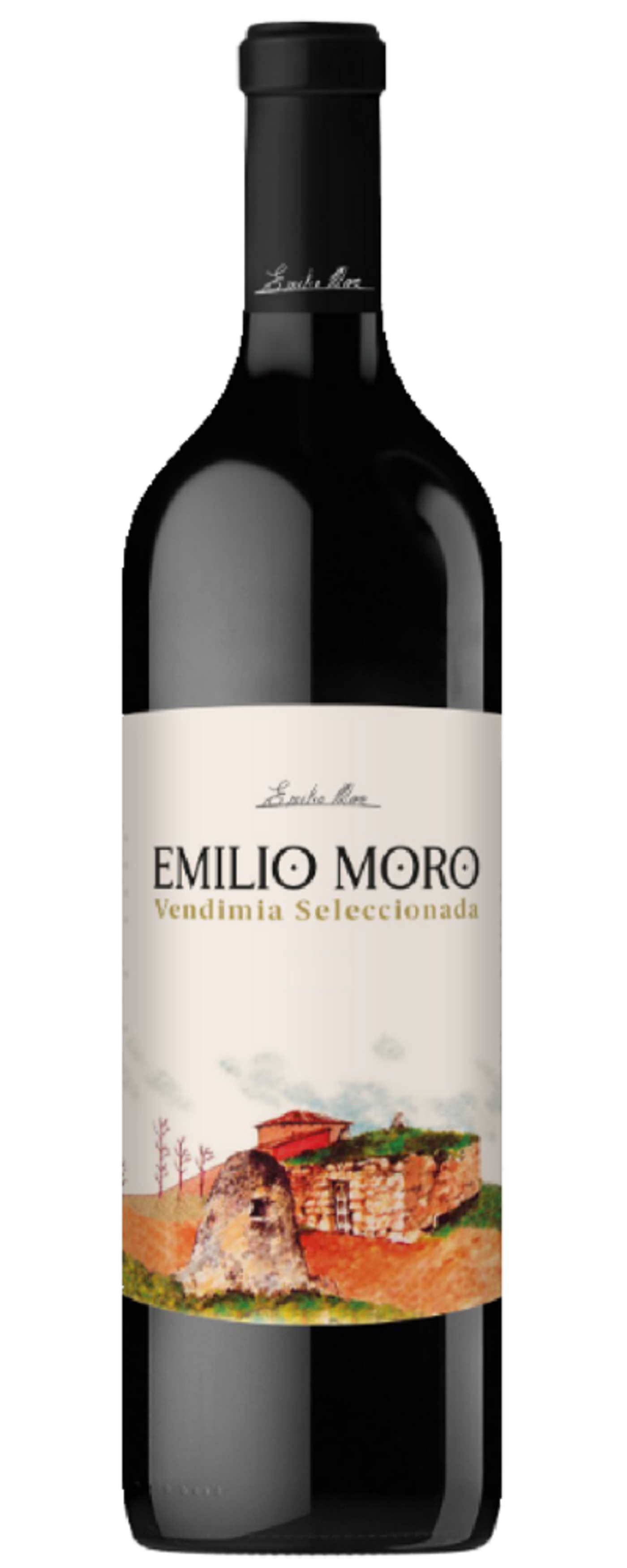 Wein-Flasche mit Etikett 'Emilio Moro Vendimia Seleccionada' und Landschaftsmalerei