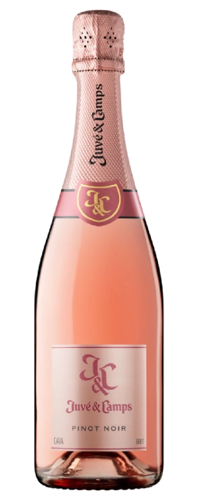 Eine Flasche Rosé-Cava von Juvé & Camps mit der Aufschrift Pinot Noir.