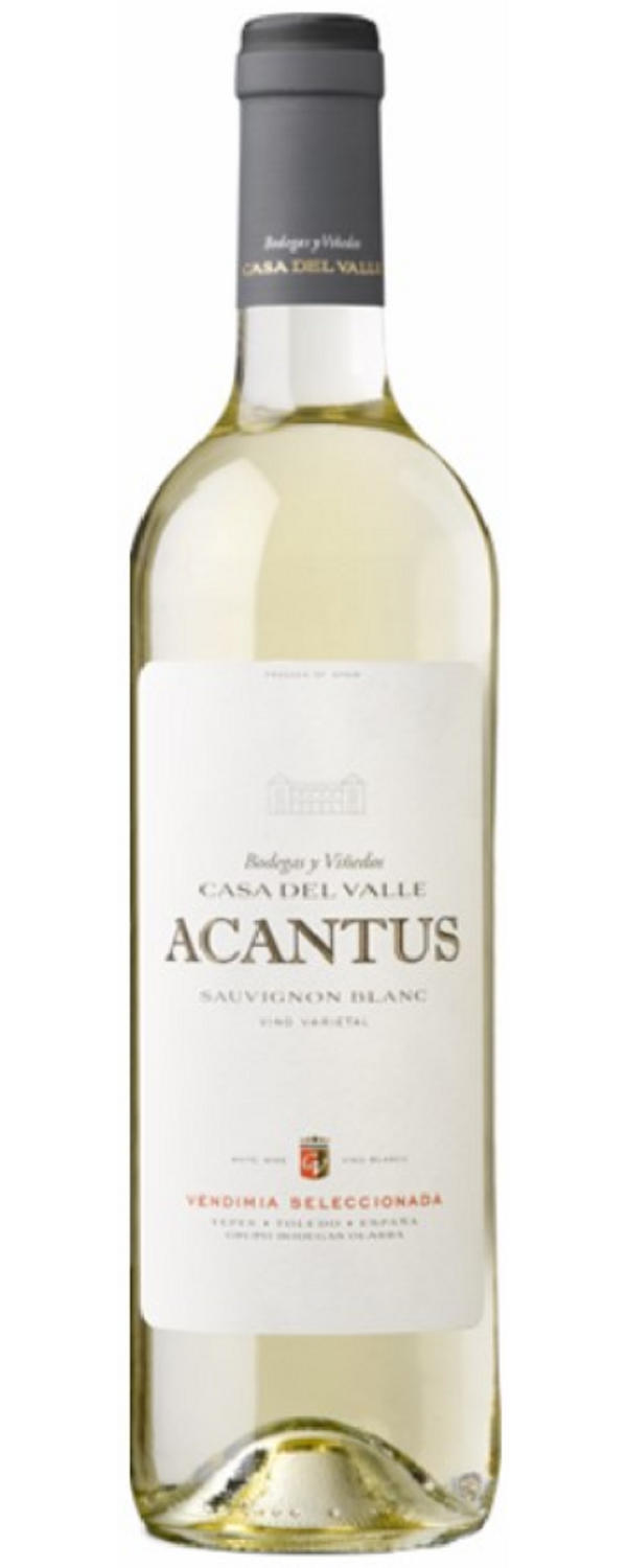 Acantus Sauvignon Blanc 2024 Olarra