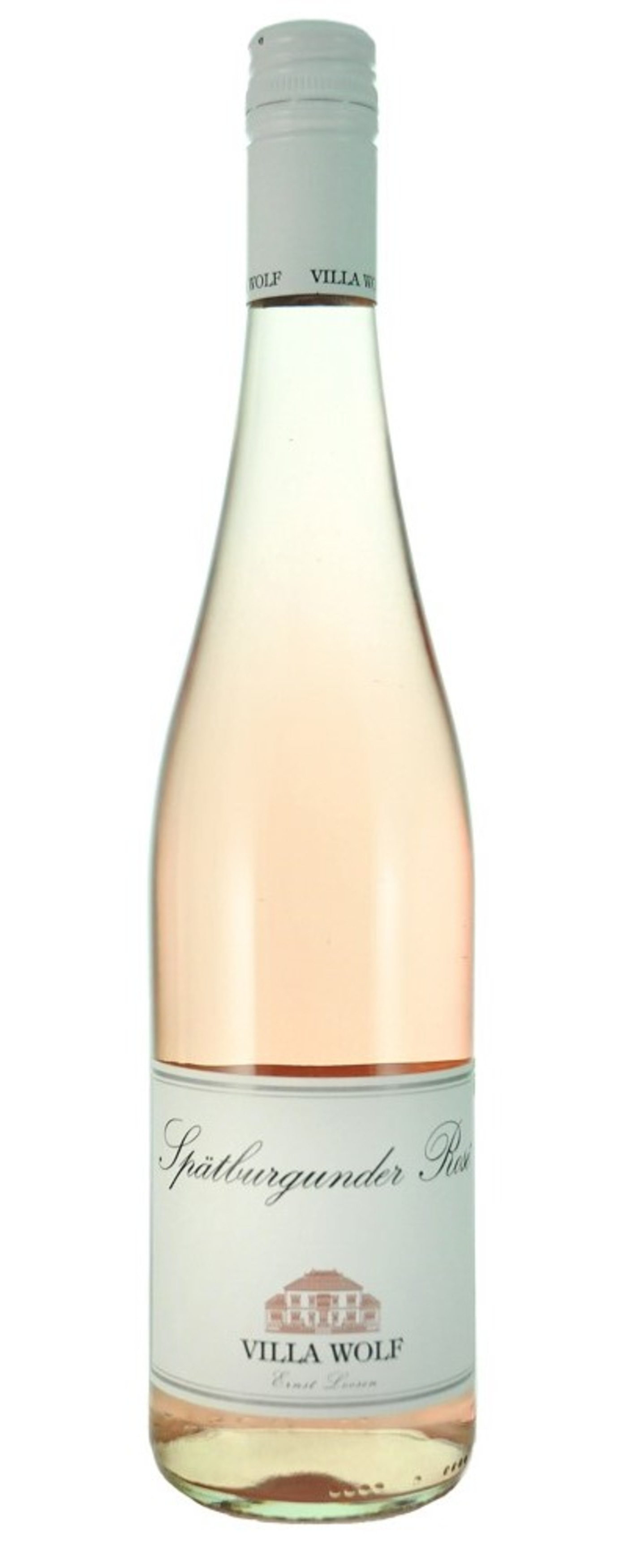 Wein, Spätburgunder Rosé, Villa Wolf, Flasche, Getränk, rosa, Alkohol, Sommer, erfrischend, fruchtig