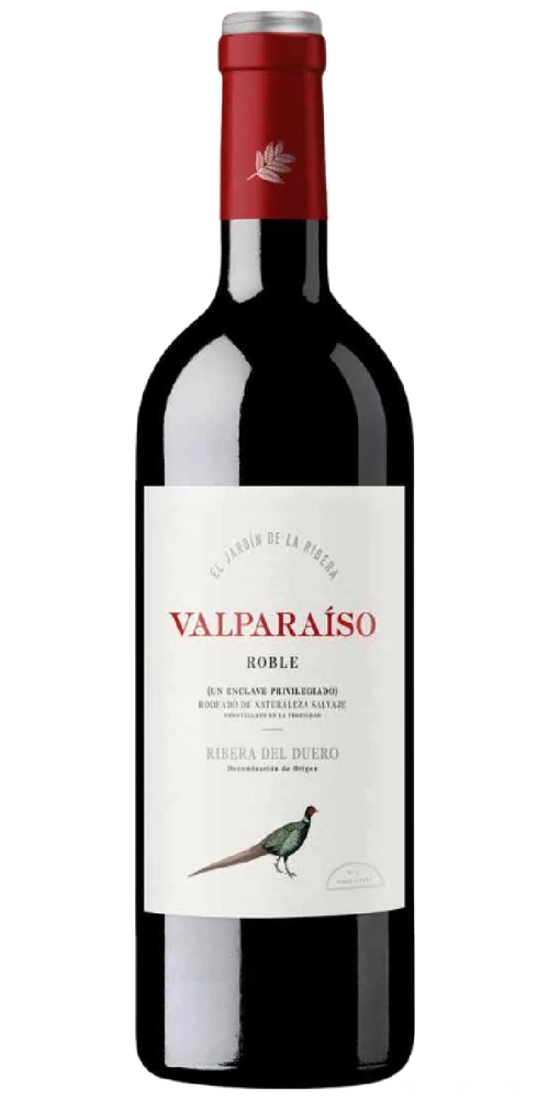 Eine Flasche Rotwein der Marke Valparaíso Roble