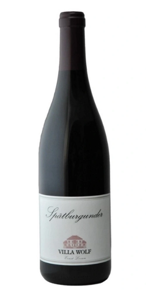 Villa Wolf Spätburgunder Rotwein Flasche auf weißem Hintergrund