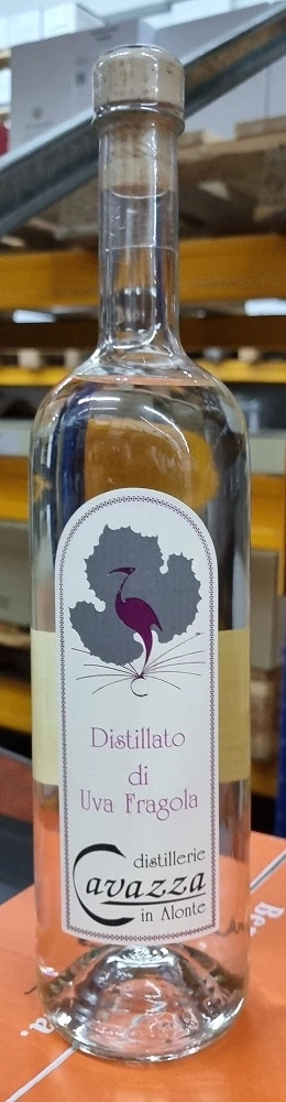 Glasflasche mit Etikett, Aufschrift 'Distillato di Uva Fragola', 'Cavazza in Alonte'