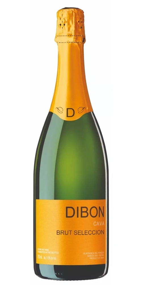 Eine Flasche Dibon Cava Brut Seleccion Wein