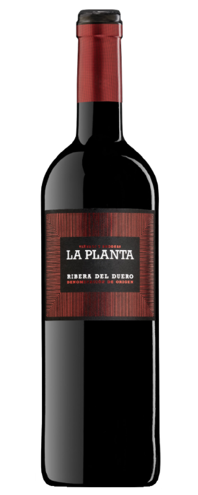 La Planta Tempranillo 2023 Arzuaga-Navarro
