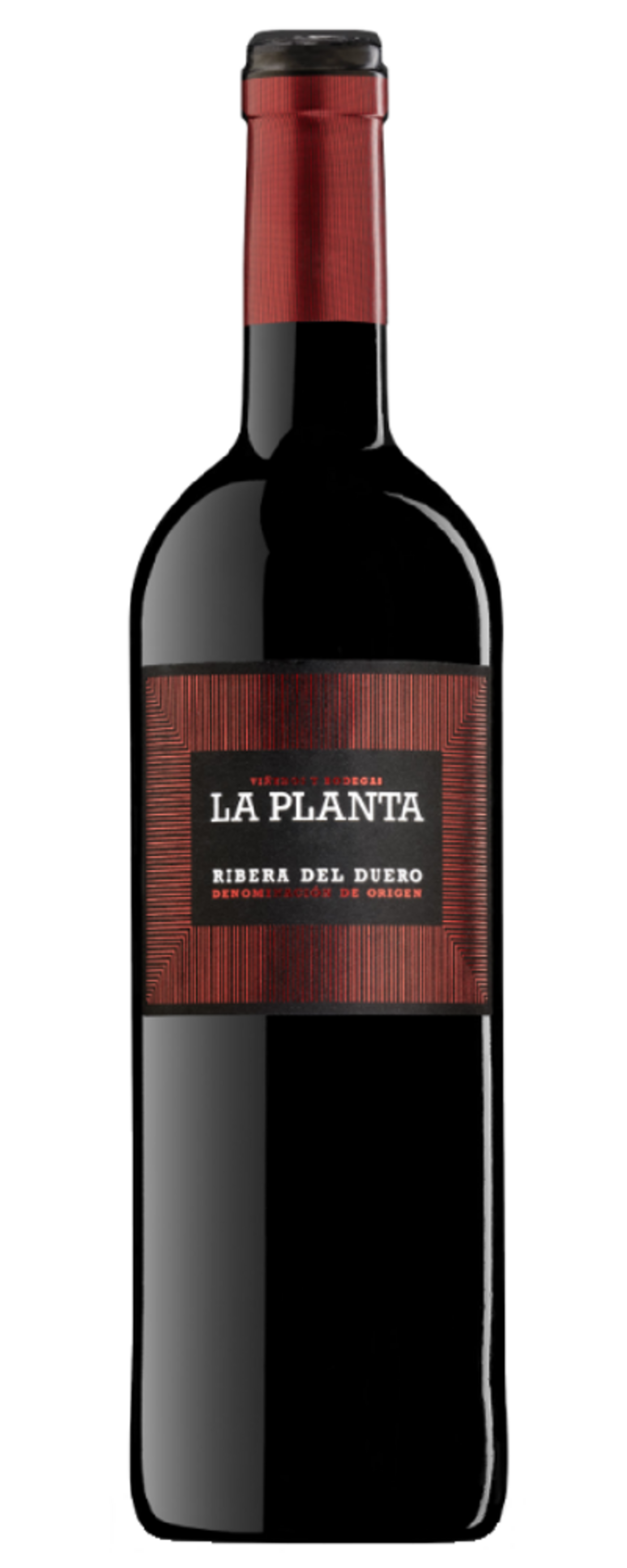 Wein-Flasche mit rotem Etikett, Aufschrift 'La Planta', Ribera del Duero