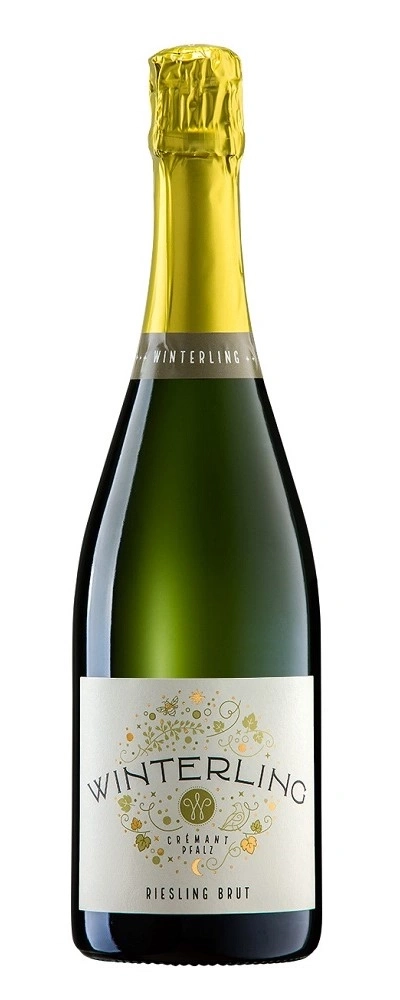 Flasche Winterling Riesling Brut, Champagner, goldene Kapsel, Etikett, Wein