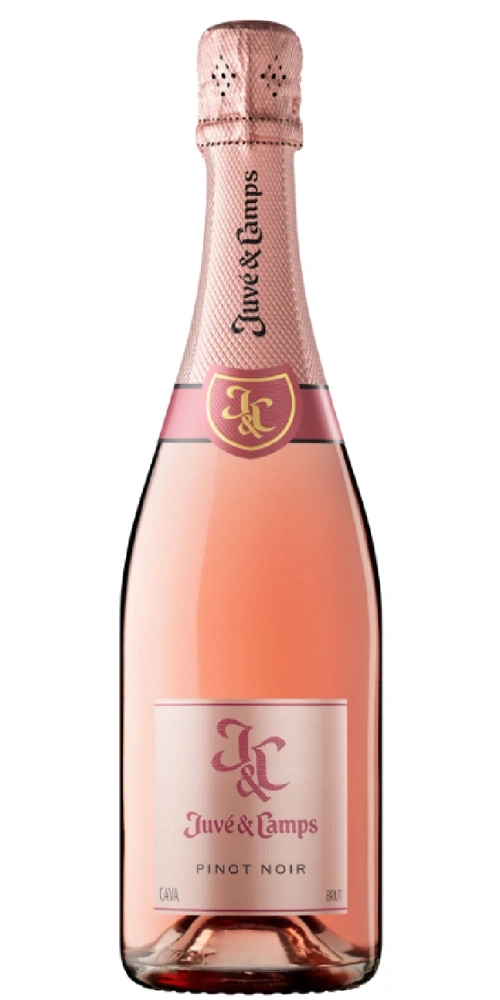 Eine Flasche Rosé-Cava von Juvé & Camps mit der Aufschrift Pinot Noir.