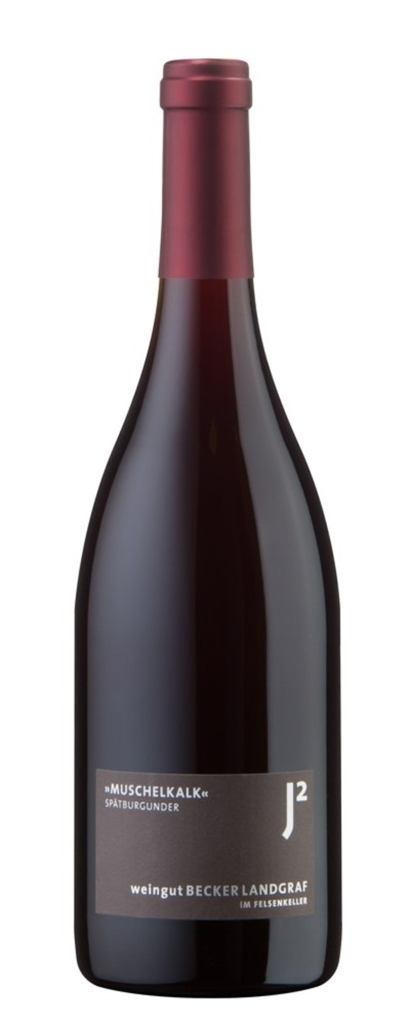 Wein-Flasche mit rotem Etikett, Aufschrift »Muschelkalk« Spätburgunder