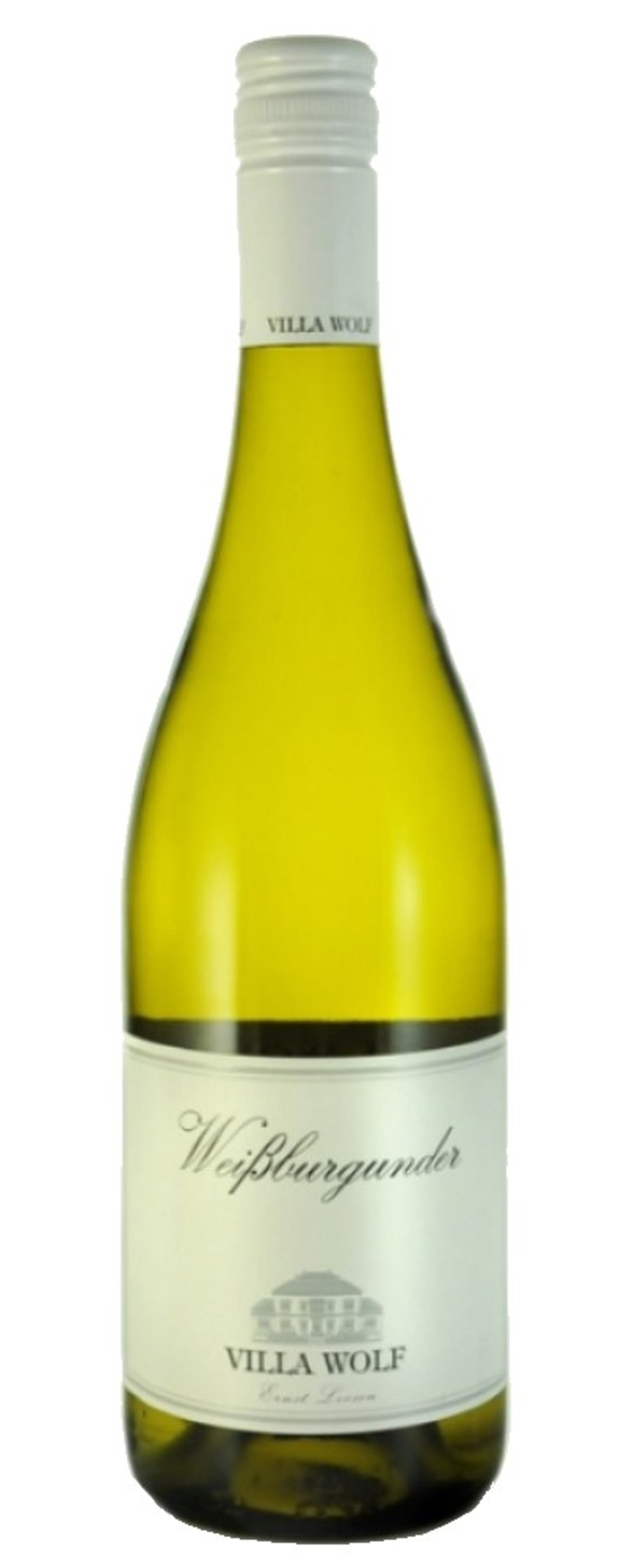 Weißburgunder-Wein von Villa Wolf, helle Farbe, Flasche mit Etikett, Wein